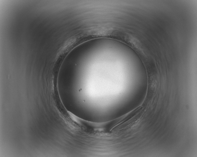 X0000068310685200604241403