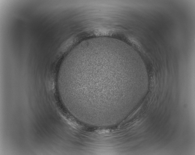 X0000068310687200604241403