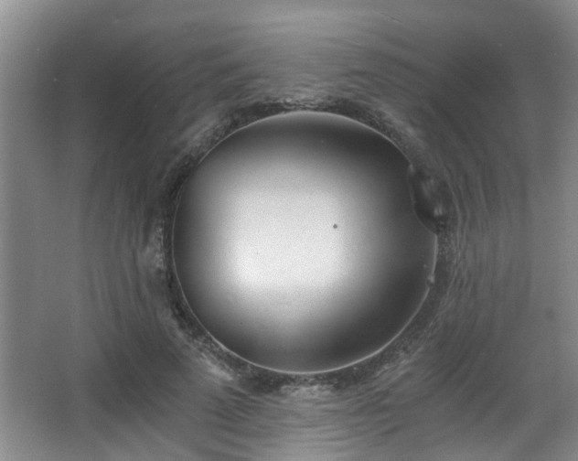 X0000068310689200604241403