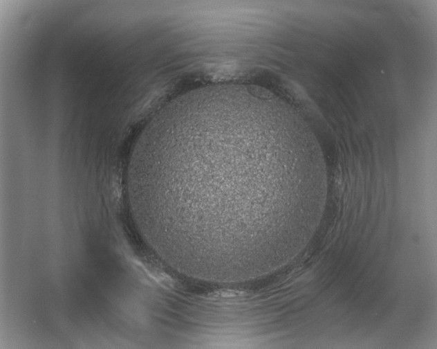 X0000068310691200604241403