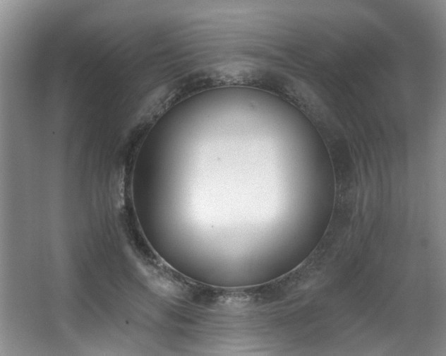 X0000068310694200604241403