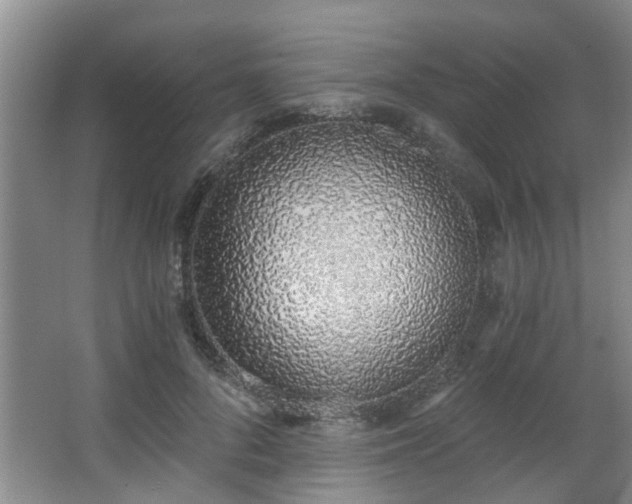 X0000068310696200604241403