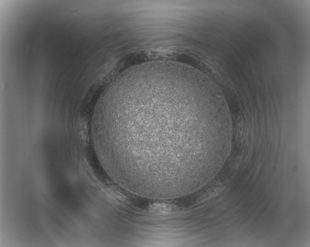 X0000068310699200604241403