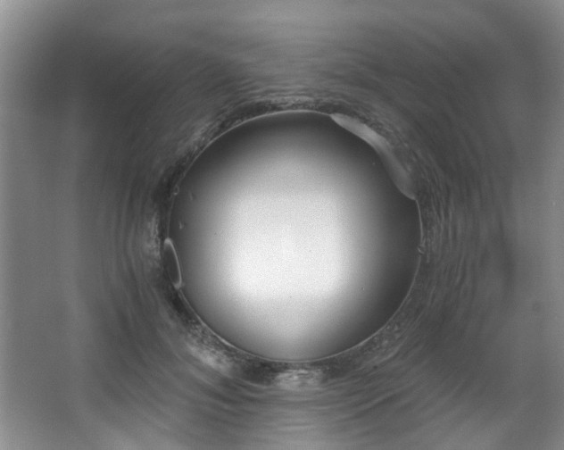 X0000068310700200604241403