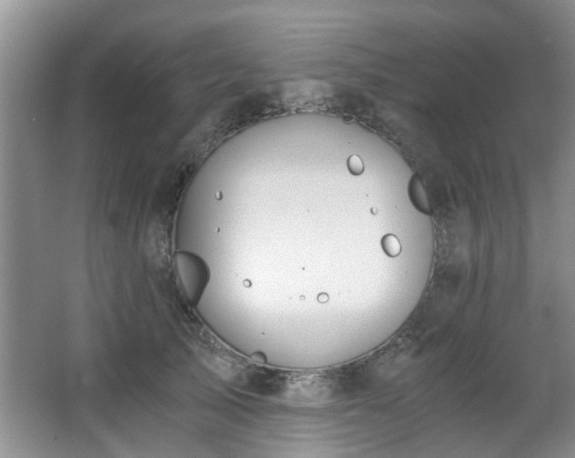 X0000068310705200604241403