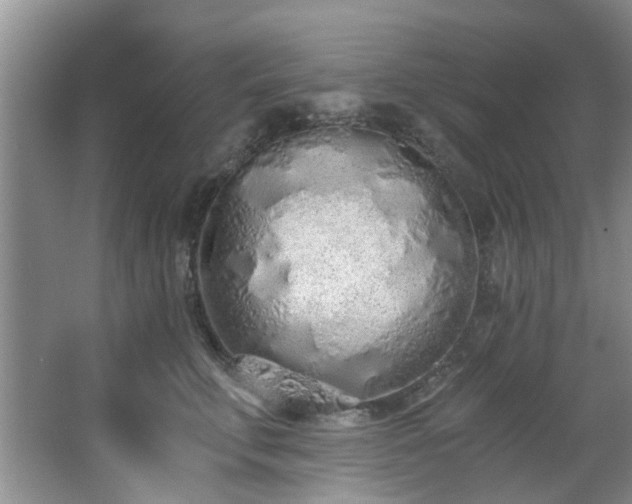 X0000068310711200604241403