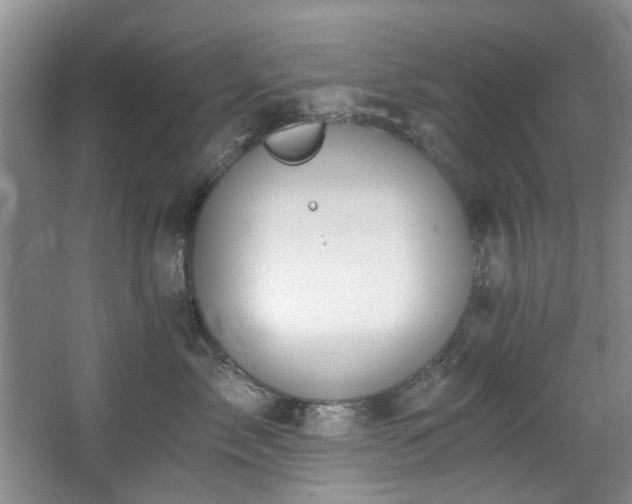 X0000068310717200604241403