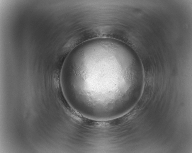 X0000068310719200604241403