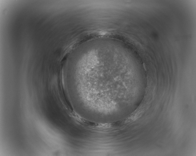 X0000068310720200604241403