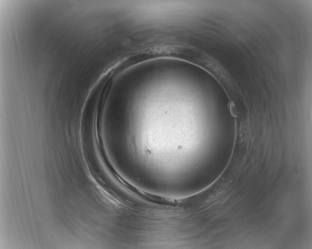 X0000068310722200604241402