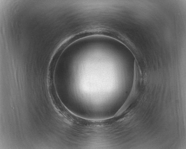 X0000068310724200604241402