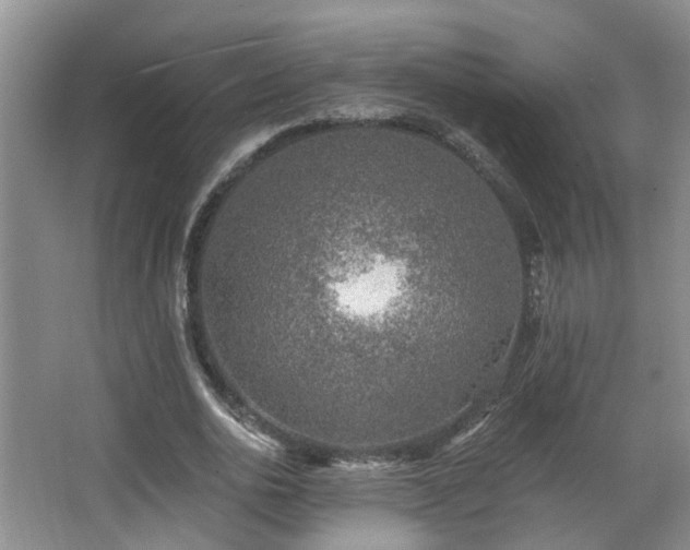 X0000068310726200604241402