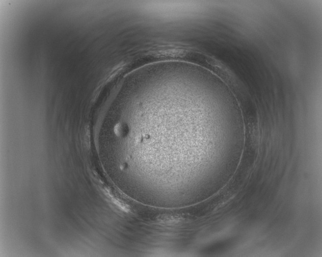 X0000068310729200604241402