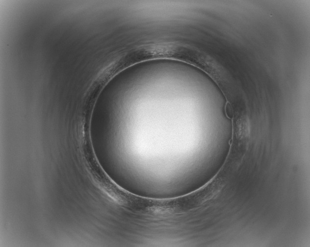 X0000068310733200604241402