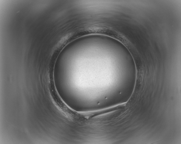 X0000068310734200604241402