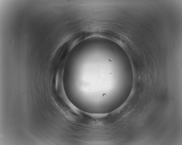 X0000068310735200604241402