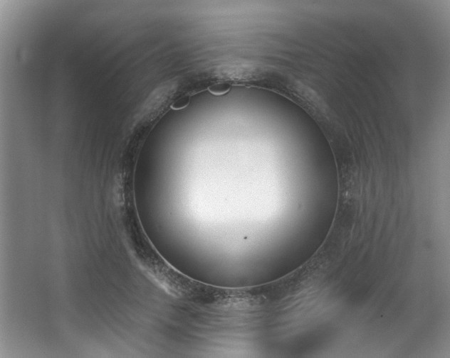 X0000068310738200604241402