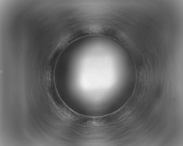 X0000068310739200604241402