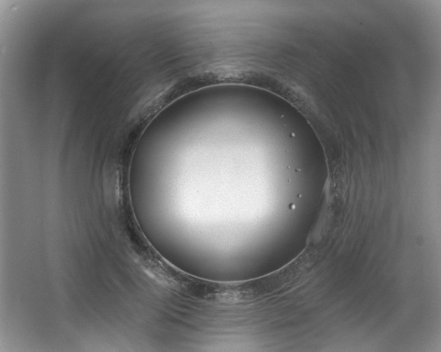 X0000068310740200604241402