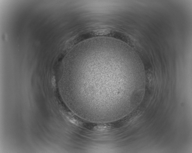 X0000068310745200604241402