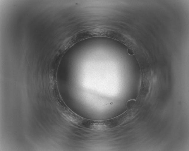 X0000068310749200604241403