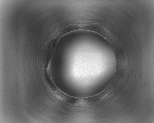 X0000068310750200604241403