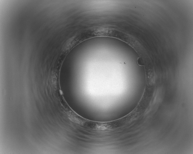 X0000068310753200604241403