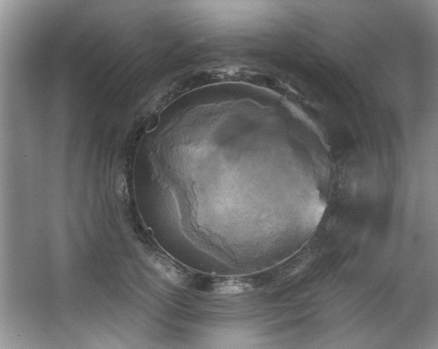 X0000068310754200604241403