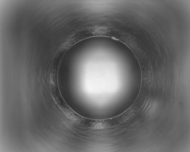 X0000068310755200604241403