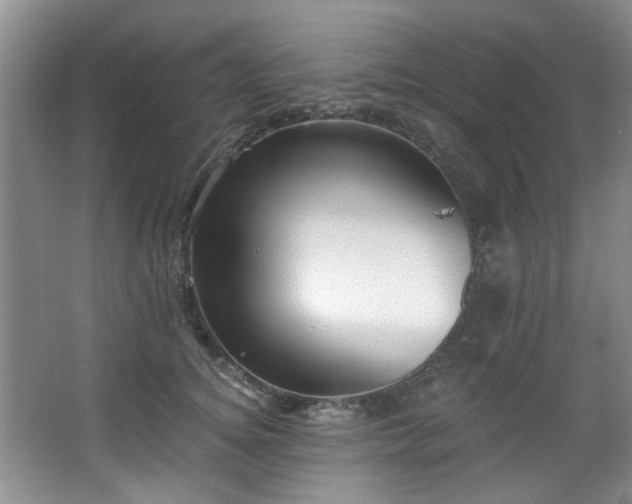 X0000068310756200604241403