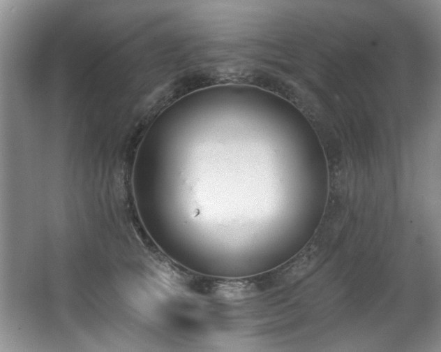 X0000068310757200604241403