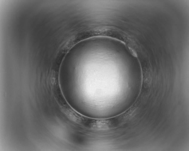 X0000068310758200604241403