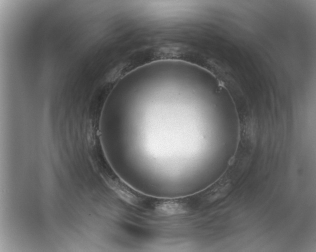 X0000068310759200604241403