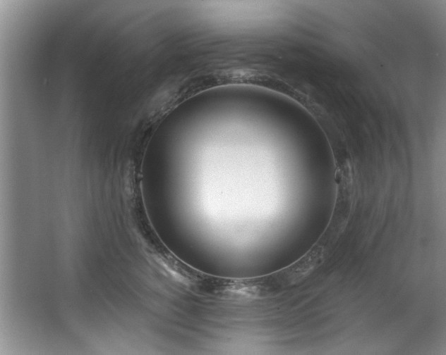 X0000068310760200604241403