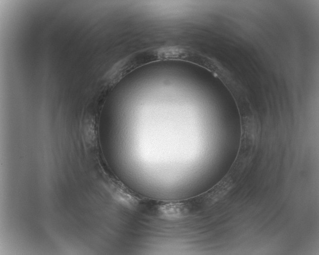 X0000068310761200604241403