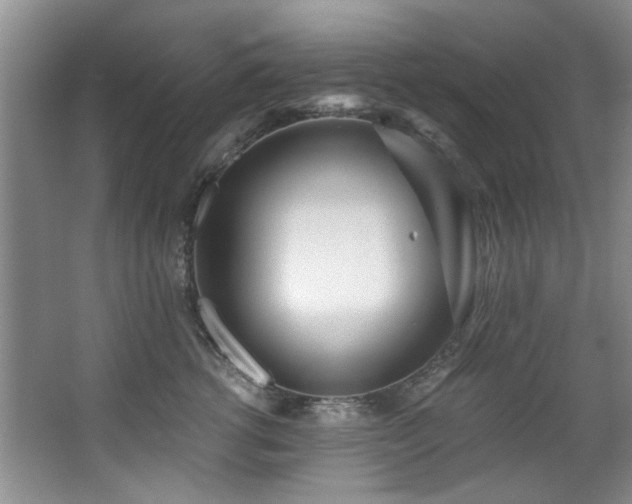 X0000068310762200604241403