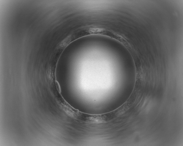 X0000068310763200604241403