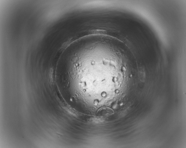 X0000068310765200604241403