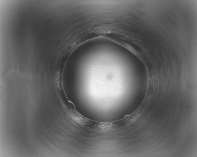 X0000068310767200604241403