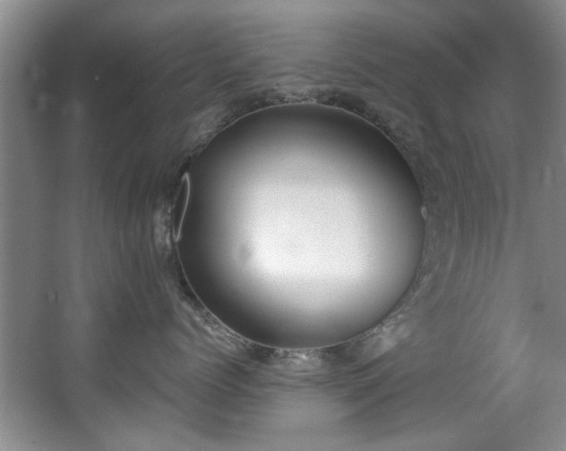 X0000068310768200604241403