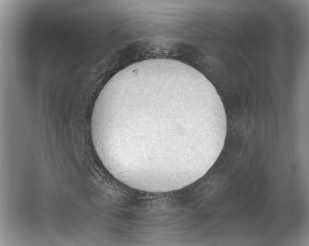 X0000068310769200604241402