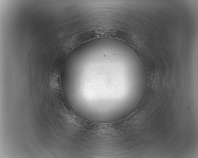 X0000068310770200604241402