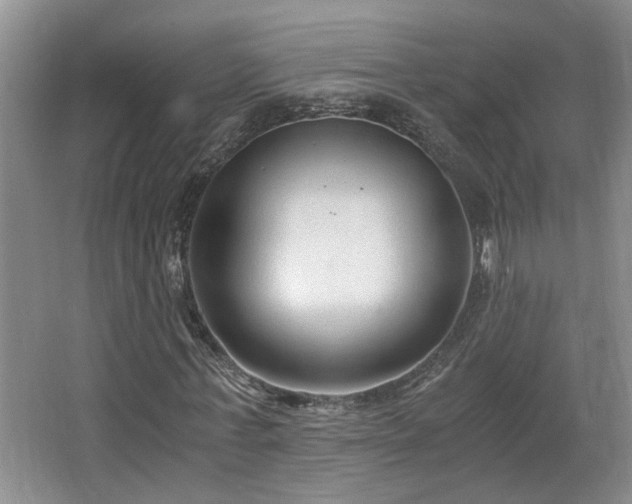 X0000068310771200604241402