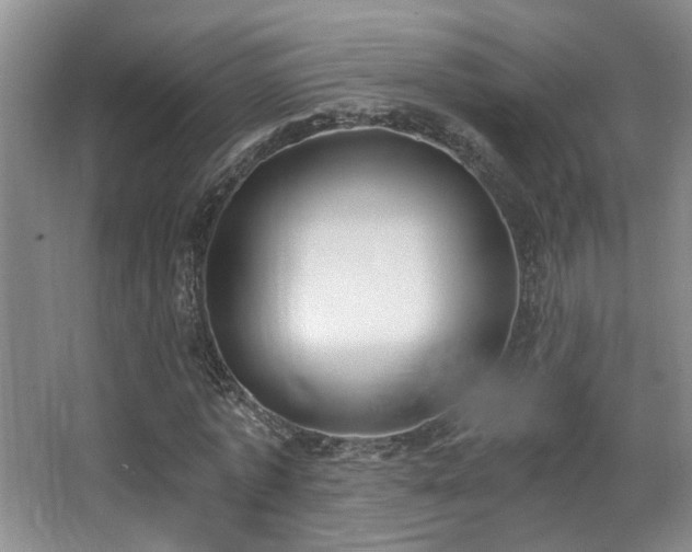 X0000068310773200604241402