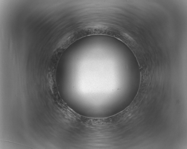 X0000068310774200604241402