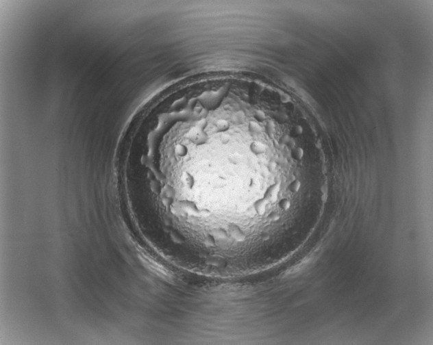 X0000068310779200604241402