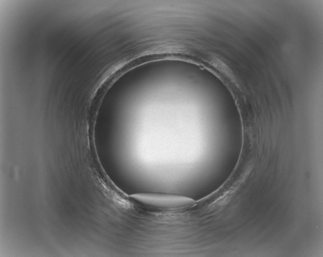 X0000068310781200604241402