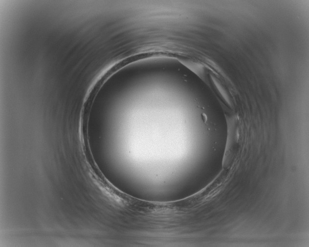 X0000068310788200604241402