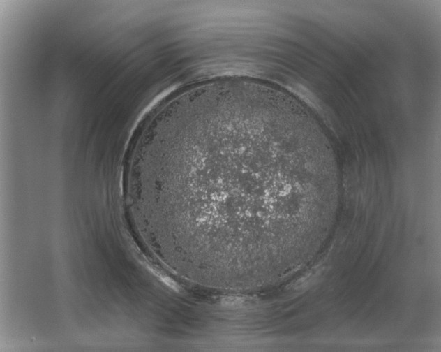 X0000068310790200604241402