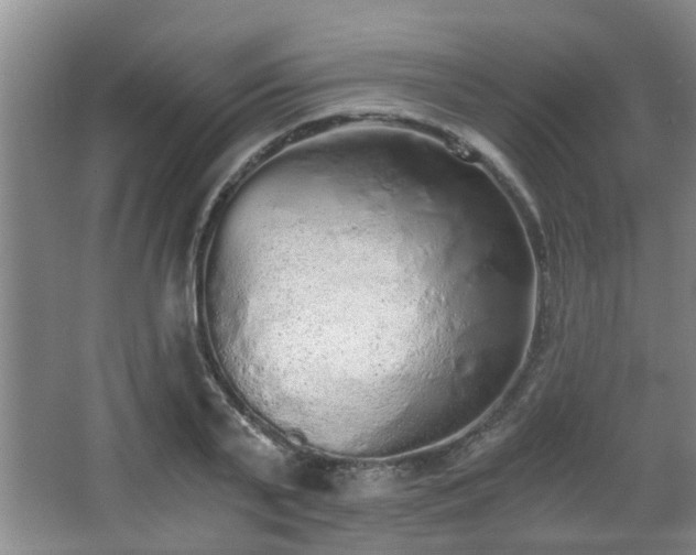 X0000068310791200604241402